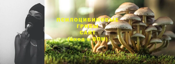 mdpv Арсеньев