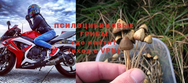 спайс Аркадак