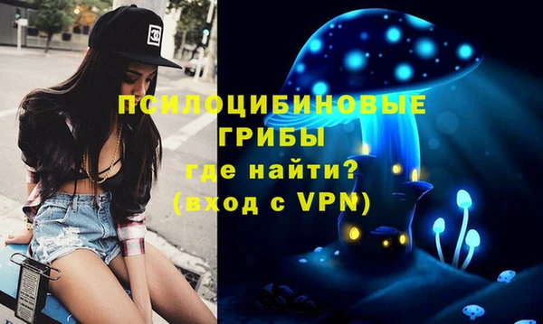 mdpv Арсеньев